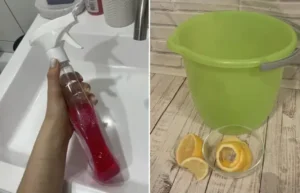 Как быстро устранить неприятный запах из мусорного ведра: 6 житейских совета на каждый день — Квартира, дом, дача — Медиаплатформа МирТесен